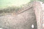 The new steps